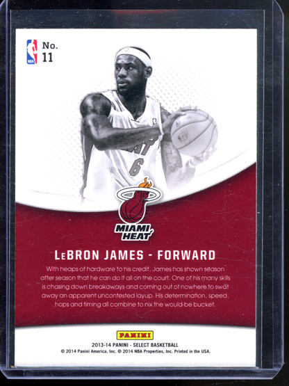 LeBron James Skills I 2013-14 Panini Select